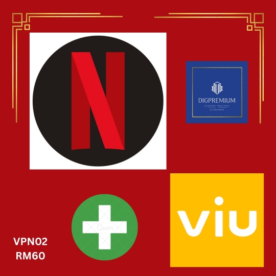 Viu Plus Netflix (3 month)