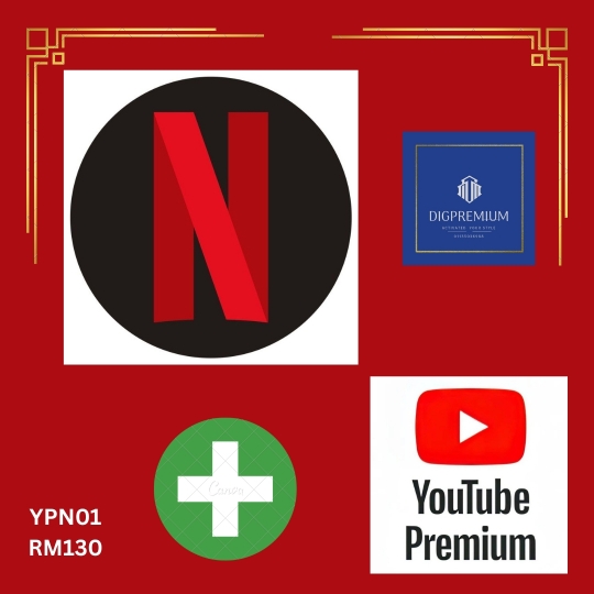 YouTube Plus Netflix (1 month)